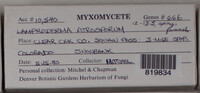 Image Associated With the Occurence